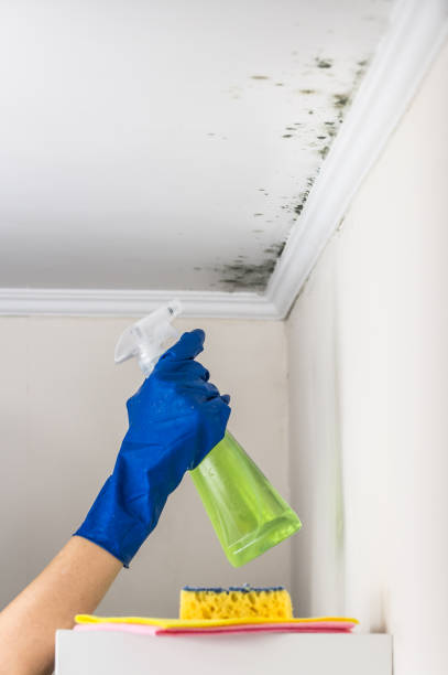 Water Damage Restoration in Freeland, MI